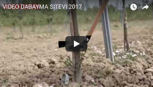 DESBROTADOR MANUAL DABAYMA FIMA 2016