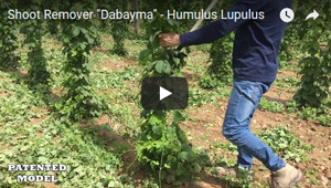 DESBROTADOR MANUAL DABAYMA FIMA 2016